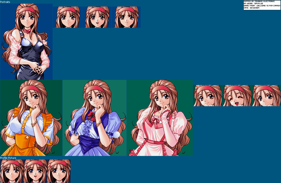 Welcome to Pia Carrot!! PC-9801 portraits of Reika Kokubo showing dithered shading, outfit variants, and profile picture icons
